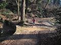 IMG_0247
