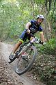 Custoza_2015_0304