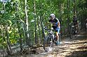 Custoza_2015_0648