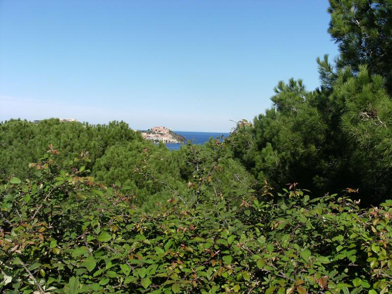 DSCF1701.JPG