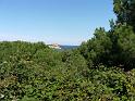 DSCF1701