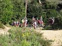 IMG_1831