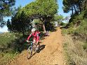 IMG_1989