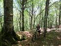 IMG_3533