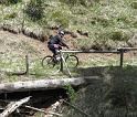 IMG_4811