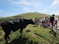 IMG_1615