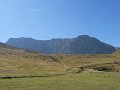 DSCN0079