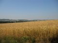 DSCN01652