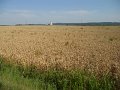 DSCN1606