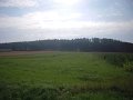 DSCN1654
