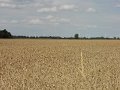 DSCN1945