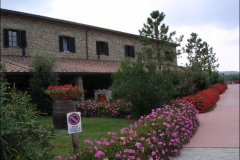 CECINA2004-1007