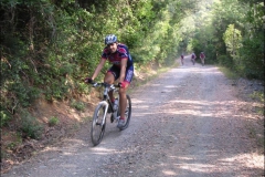 CECINA2004-1010