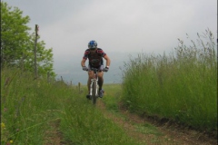 FANE-2004-1002