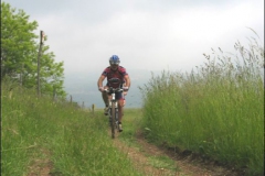 FANE-2004-1014