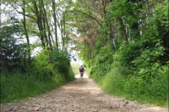 FANE-2004-1022