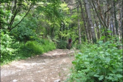 FANE-2004-1029