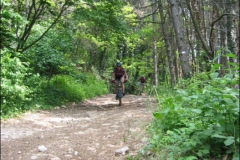 FANE-2004-1031