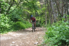 FANE-2004-1033
