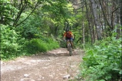 FANE-2004-1035