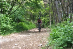 FANE-2004-1036