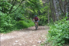 FANE-2004-1037