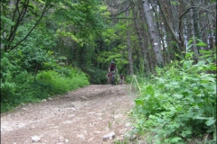 FANE-2004-1038