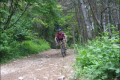 FANE-2004-1039