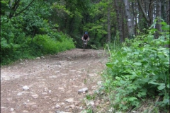 FANE-2004-1041
