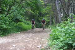FANE-2004-1042