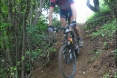 FANE-2004-1097