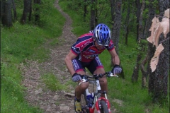PAVULLO2004-1008