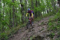PAVULLO2004-1010