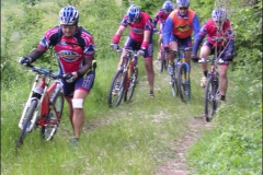 PAVULLO2004-1021