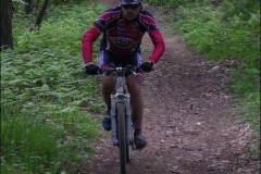 PAVULLO2004-1024