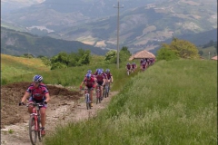 PAVULLO2004-1031