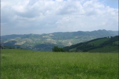 PAVULLO2004-1032