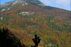 2005-Folgaria-1136