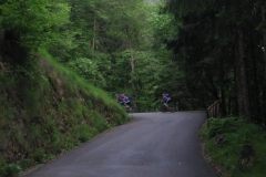 CAREGA2006-1009