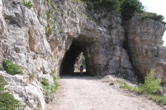 CAREGA2006-1038