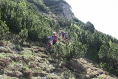 CAREGA2006-1049