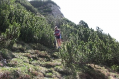 CAREGA2006-1050