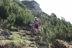 CAREGA2006-1051