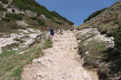 CAREGA2006-1052