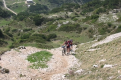 CAREGA2006-1055