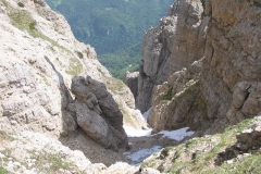 CAREGA2006-1056