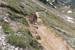 CAREGA2006-1064