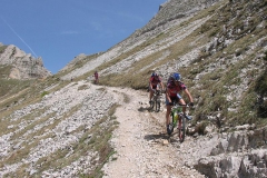 CAREGA2006-1067