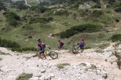 CAREGA2006-1068