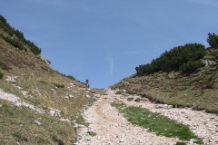 CAREGA2006-1069